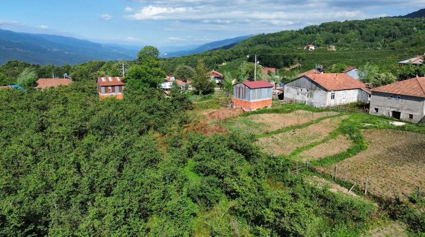 ÖMER EMLAKTAN TAŞAĞIL MH. İMARLI ARSA-EV VE AHIR