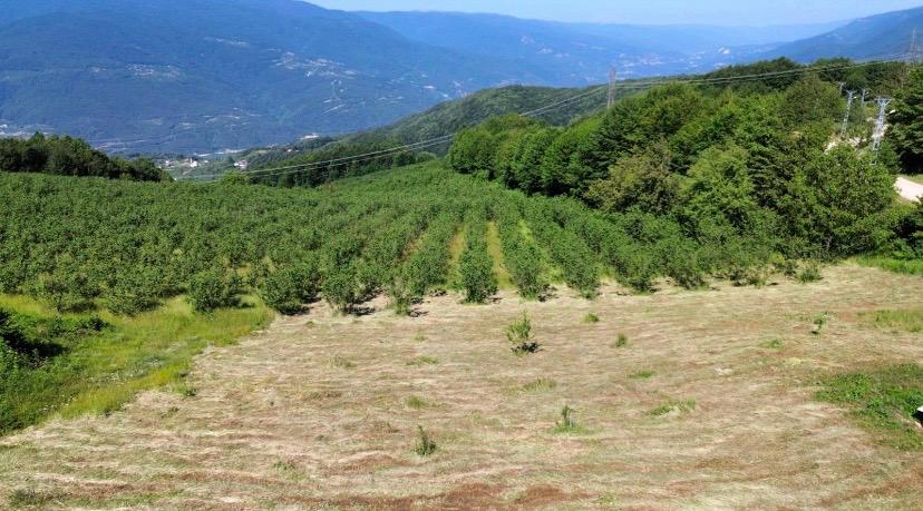 ÖMER EMLAKTAN YÖRÜKYERİ KÖYÜNDE İMARLI ARSA