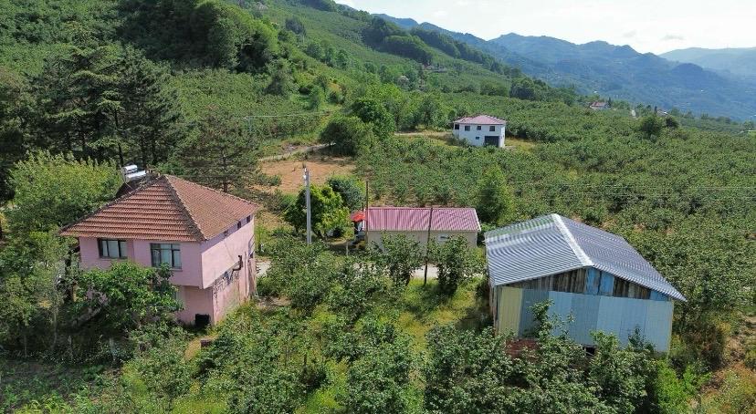 ÖMER EMLAKTAN TAŞAĞIL MH. İMARLI ARSA-EV VE AHIR